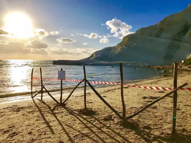 六年旅行者,国六旅行者