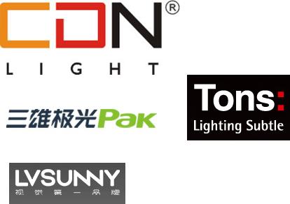 2019我们去看更大的世界：LED通用照明格局与变局之我见