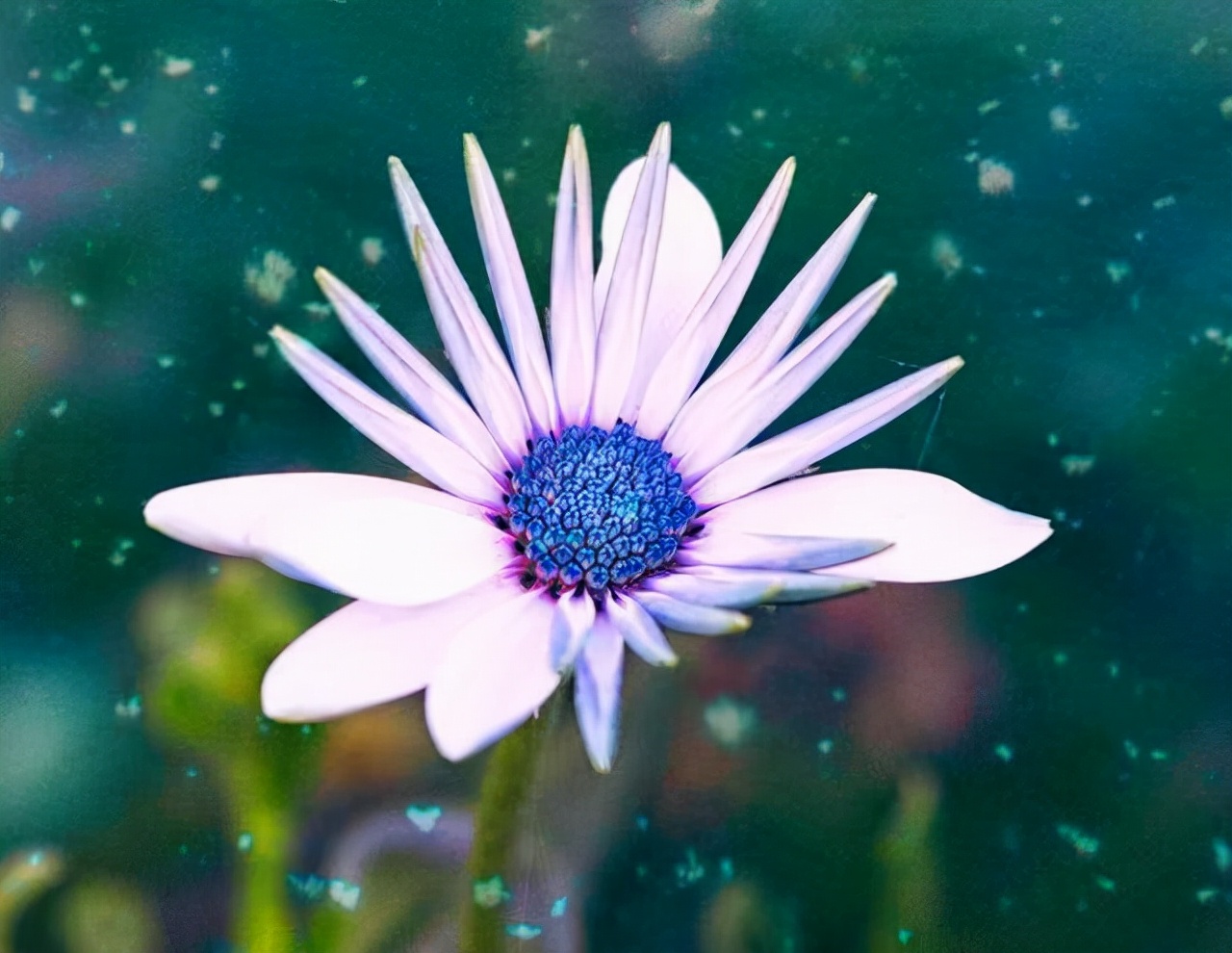 断联又联系了怎么办,断联后如何激发男人主动复合