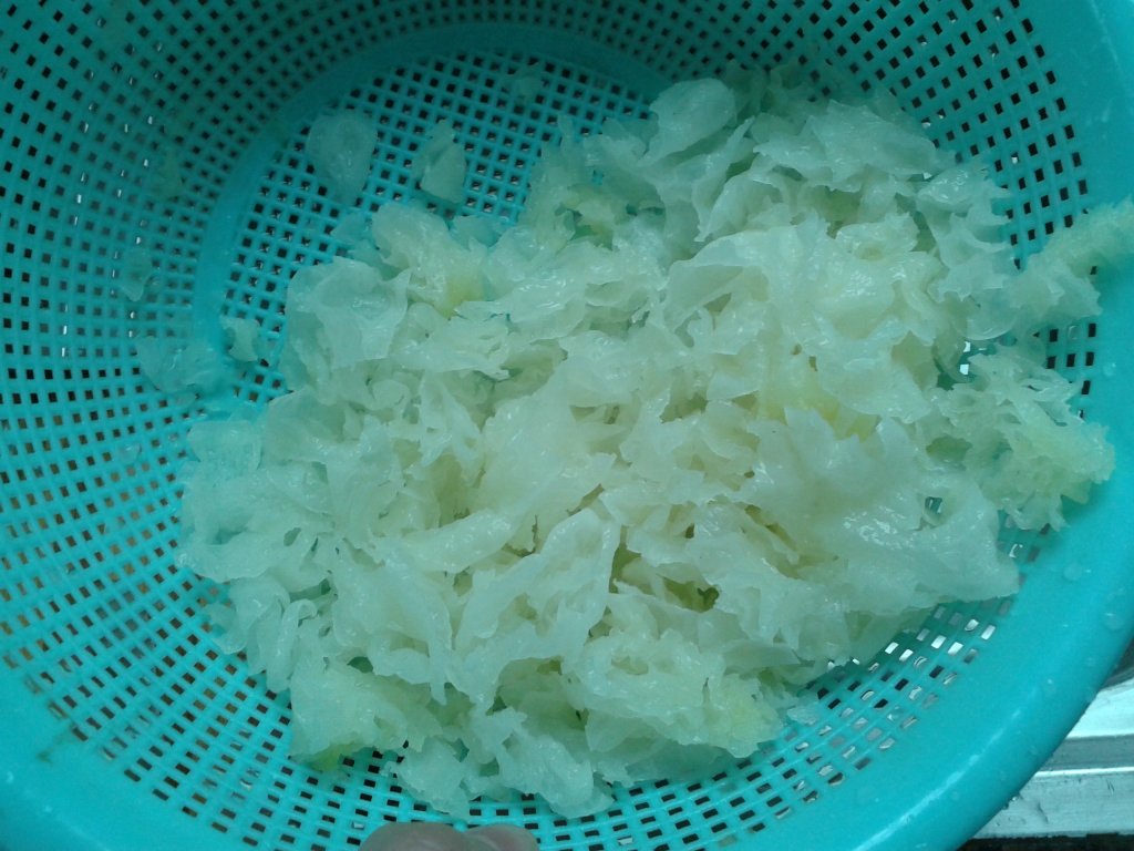 长期吃银耳能补充胶原蛋白吗,吃银耳可以补充胶原蛋白吗