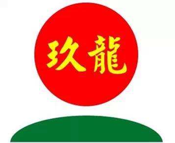 玖龙纸业秸秆造纸,玖龙纸业造纸车间视频