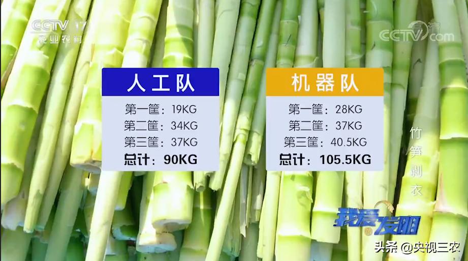 王万能自动剥笋机联系电话,手剥竹笋皮神器