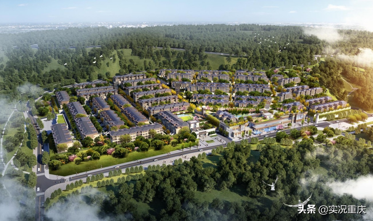 涓轰粈涔堝崡灞卞彂灞曢偅涔堝揩,琚綆浼扮殑鍗楀北鍩庡競