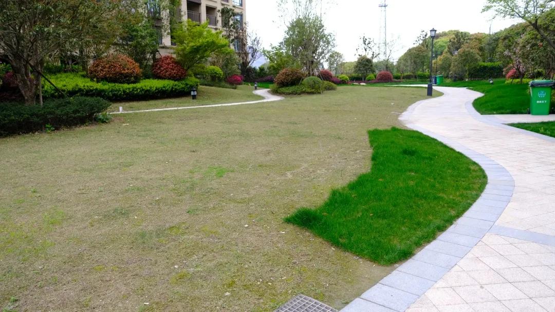 朝闻天下楼盘为什么这么便宜,潮闻天下房价