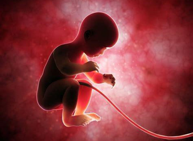 胎儿在孕妈肚子里抖动是怎么回事？可不是你以为的胎动，别弄错了