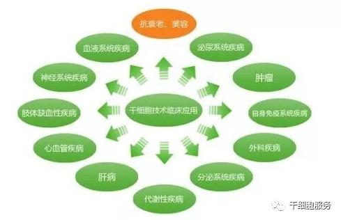 2019年即将逝去，干细胞治疗新时代已经到来