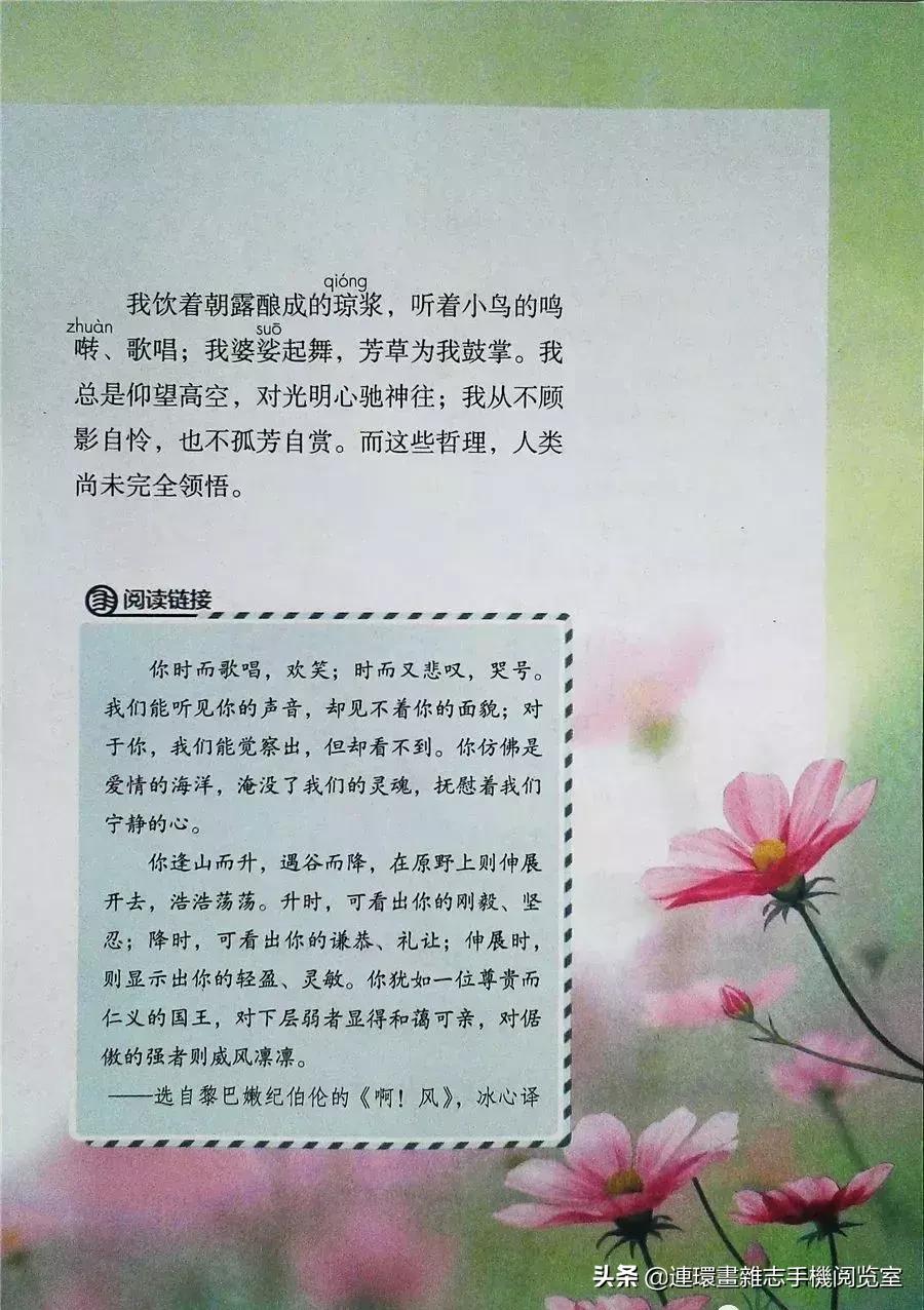 小学六年级语文上册电子课本,部编语文六年级上册电子课本