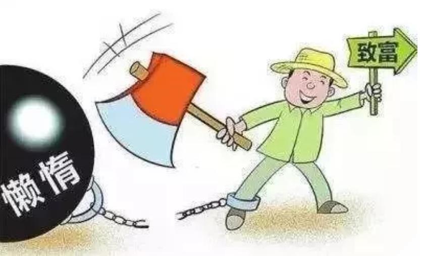 老白闲聊,老白和小芳