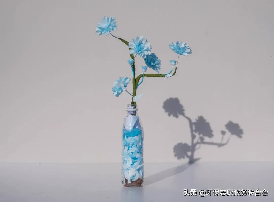 成都高校生态环境大联盟｜废旧物创意设计—四川国际标榜职业学院