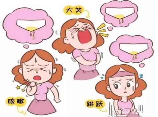 骨盆修复科普知识,骨盆底肌有什么作用