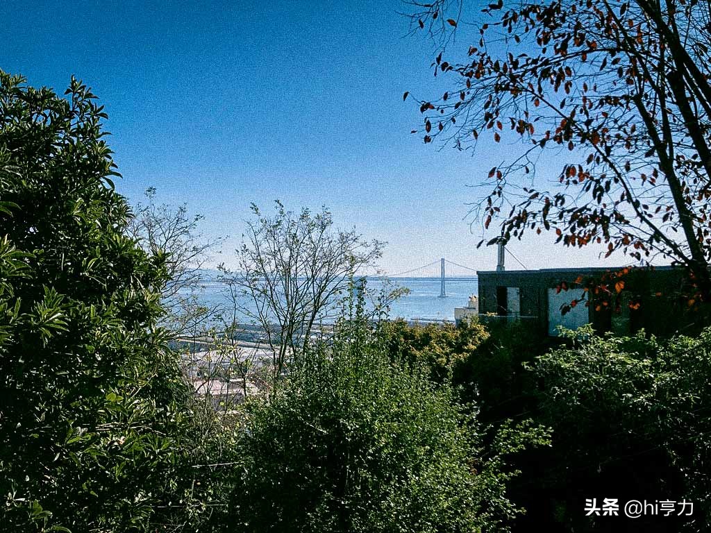 旧金山旅行指南,玩转旧金山