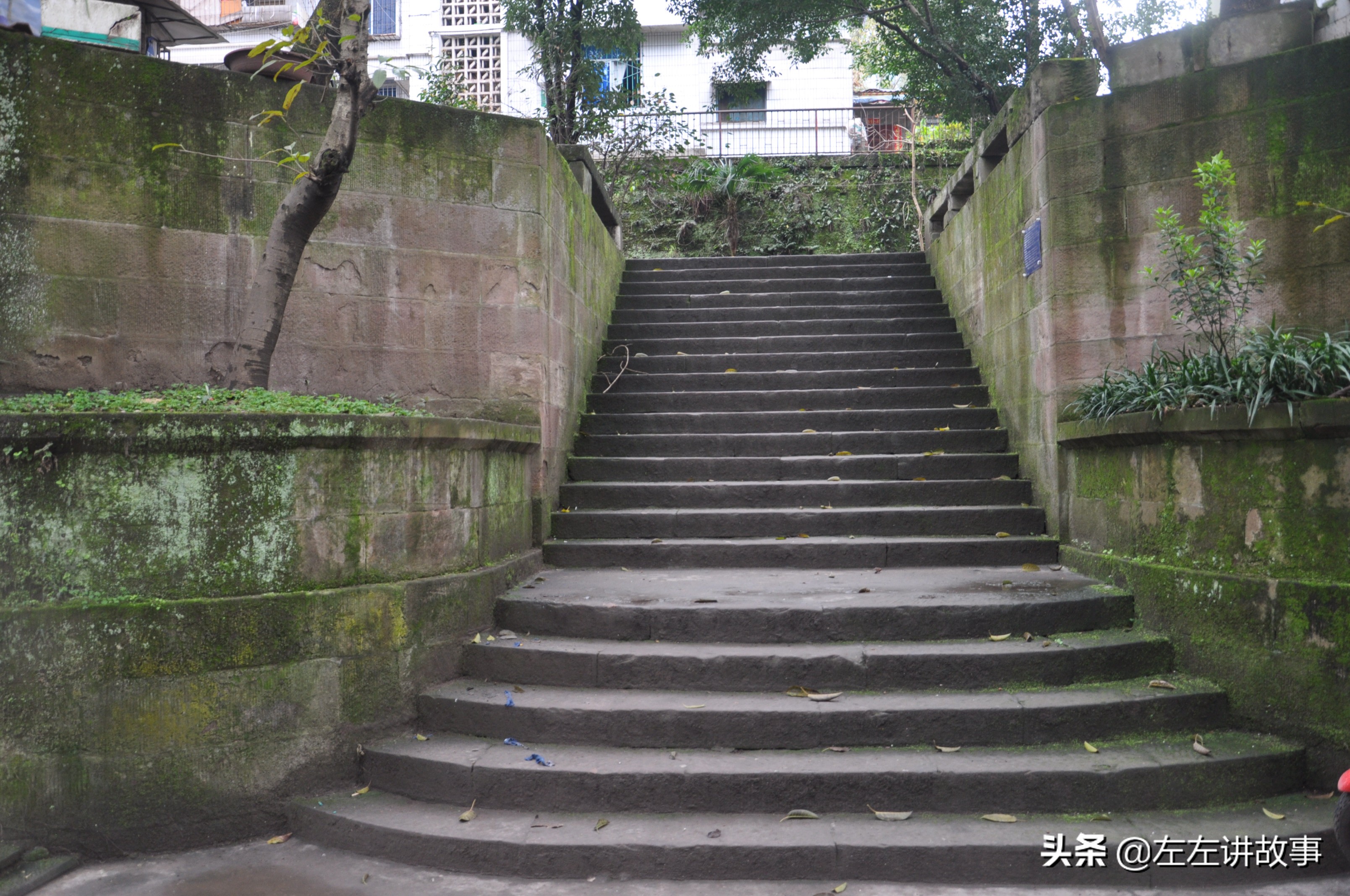 珠*牌江**单反相机，是华蓥山里这家工厂开发的