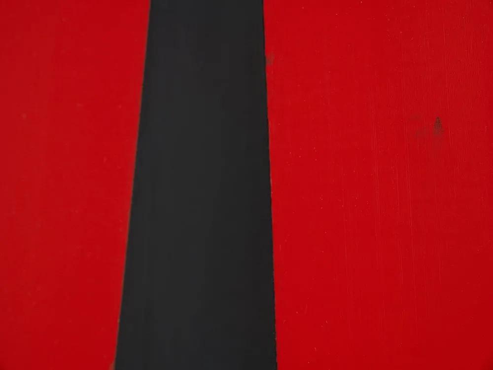 安·埃德霍姆​：保持在抽象和叙事之间的矛盾态势