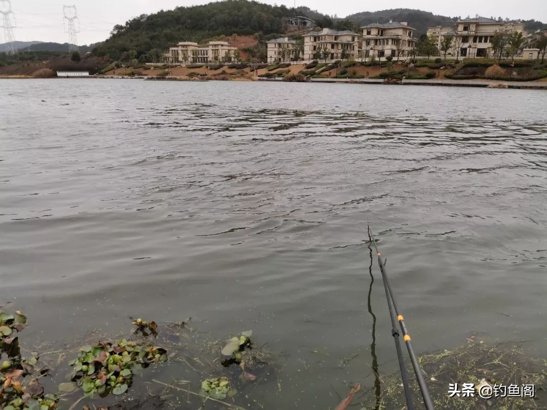 钓鱼遇到大鱼感觉要断竿怎么操作,抛竿钓鱼走水最佳解决方法