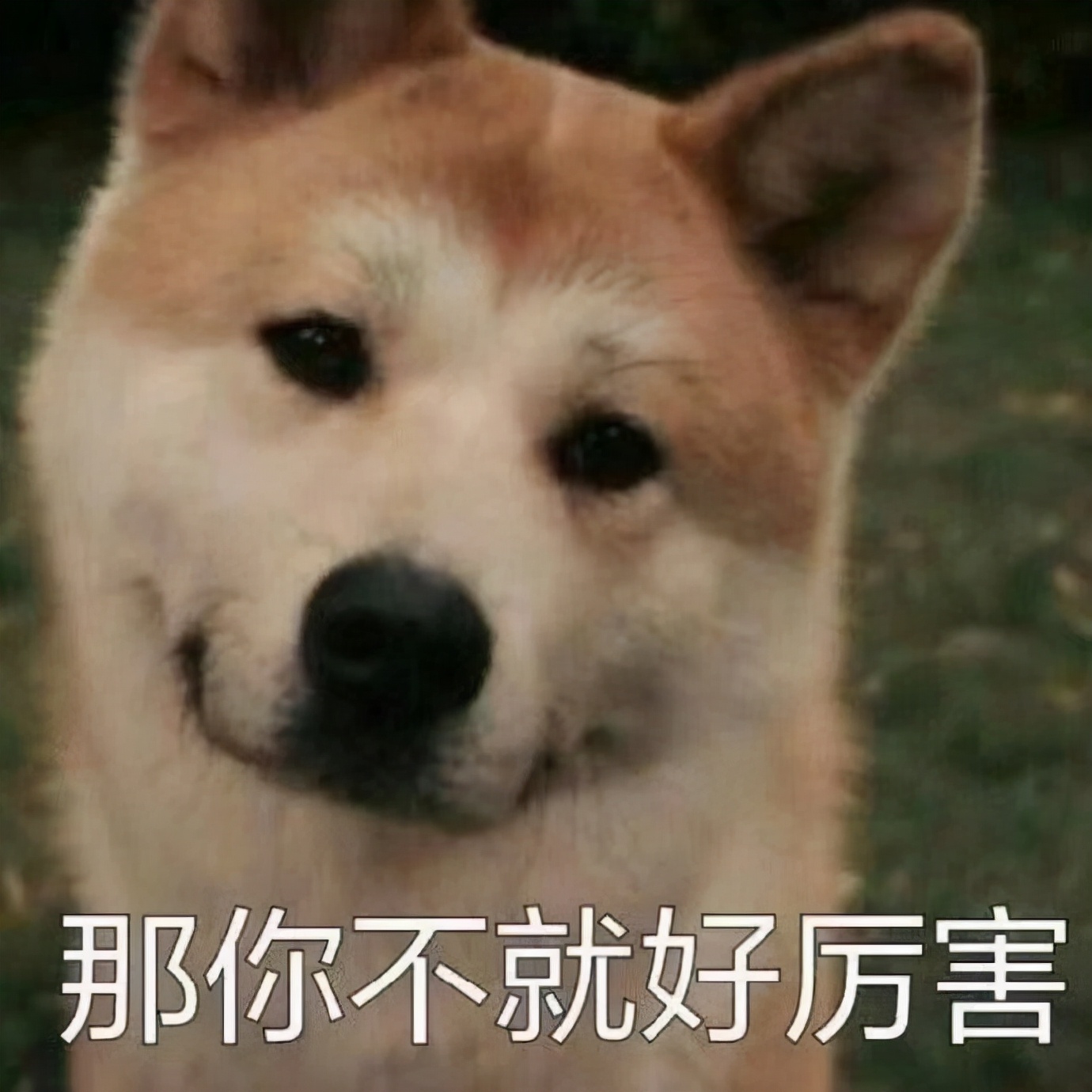 香奈儿限购,香奈儿包包涨价尝到恶果