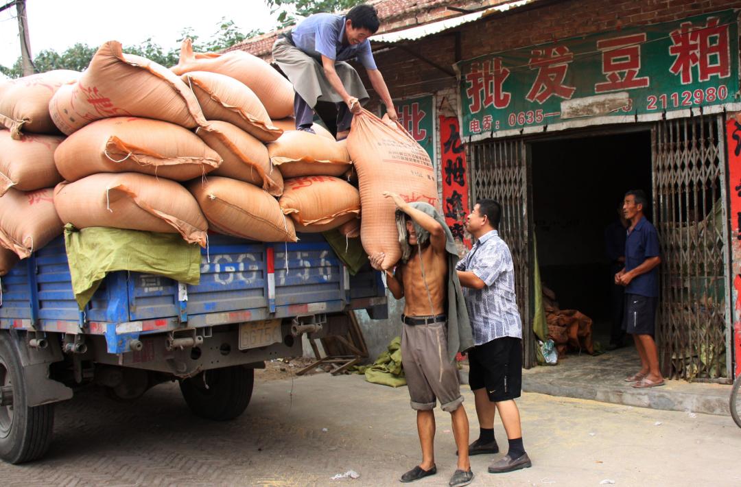 中国大豆惨败的一战,中国大豆困局如何解决