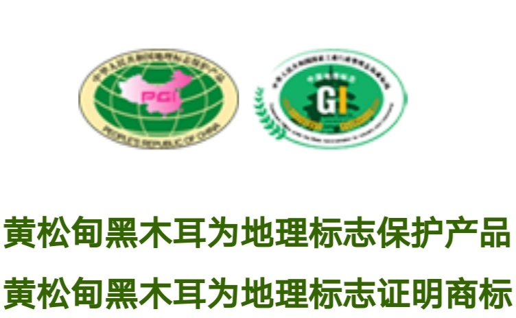 中国打造木耳之乡,中国木耳产地排行榜