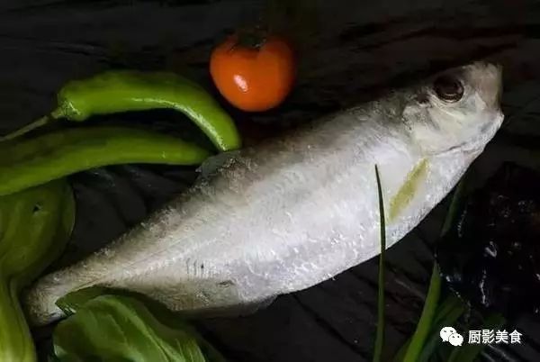 吃海鲜也要讲究时令,吃海鲜最佳的季节是什么时候