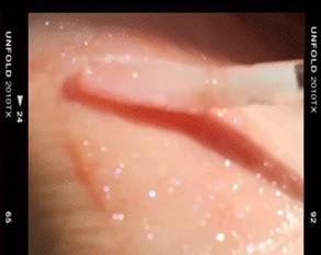 小众国货彩妆高颜值,十大最好用的彩妆单品推荐