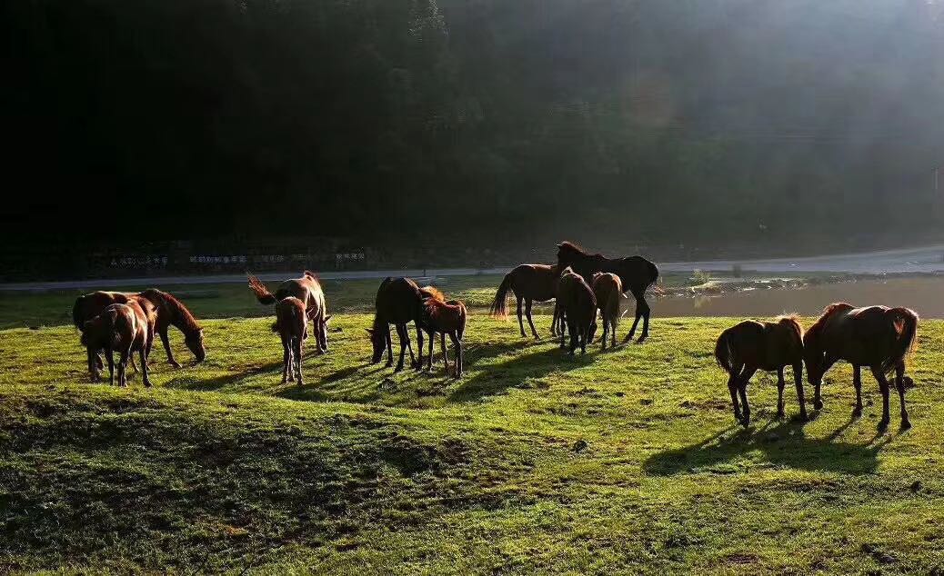 丰都龙景花园避暑房,丰都南天湖避暑房推荐