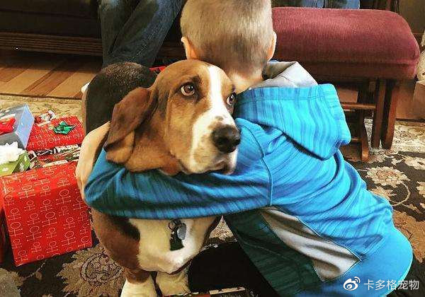 盘点关于狗狗的21条冷知识,狗狗冷知识
