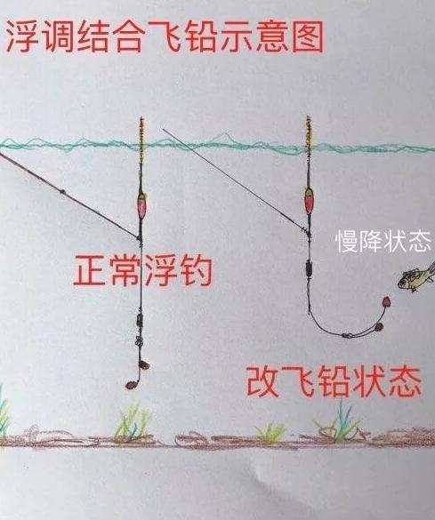 钓草鱼飞铅调漂的正确方法,半飞铅钓法怎么调漂全过程