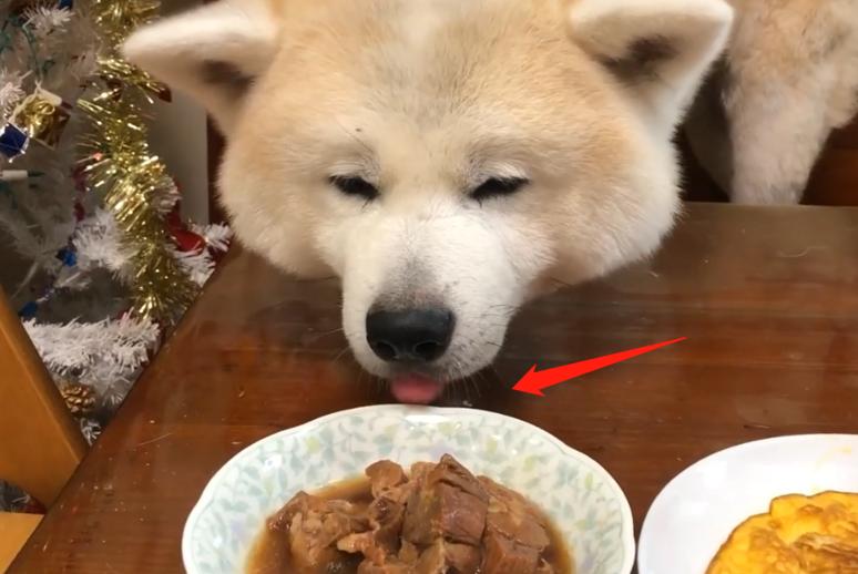 画狗寻狗启事搞笑,寻狗启事画像搞笑