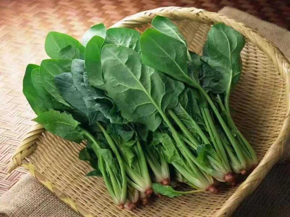 怀孕孕酮低的原因和解决方法,孕期孕酮值低该怎么办