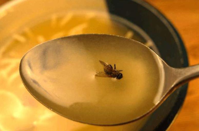 食物罩保温,冬天饭菜保温神器必不可少