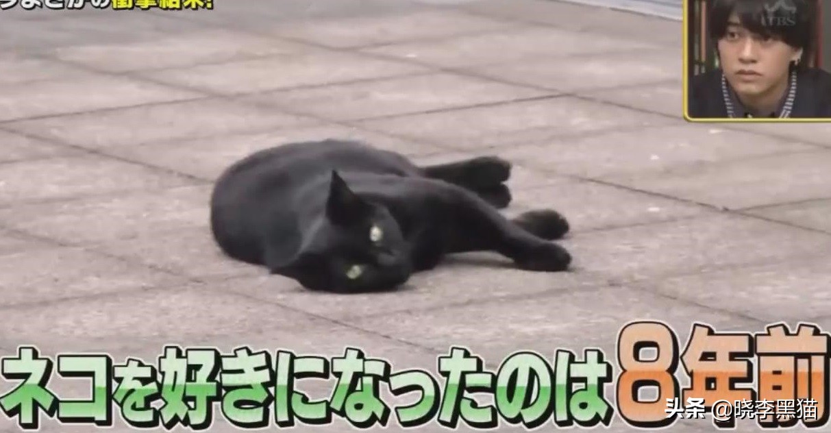 日本锦鲤大叔中奖6个亿，3年挥霍一空，撸猫找回心灵平静