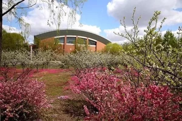 辽宁省普通高等院校（二十五）沈阳工程学院