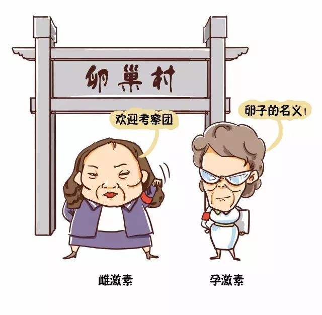 真相大爆炸：当孕妈遭遇*梦春**，宫缩现象要关注