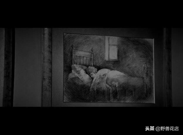 关于大象的经典电影,有关于大象的电影