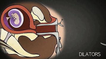 暑假变“人流假”，疯狂的不只成年人，还有12岁女学生