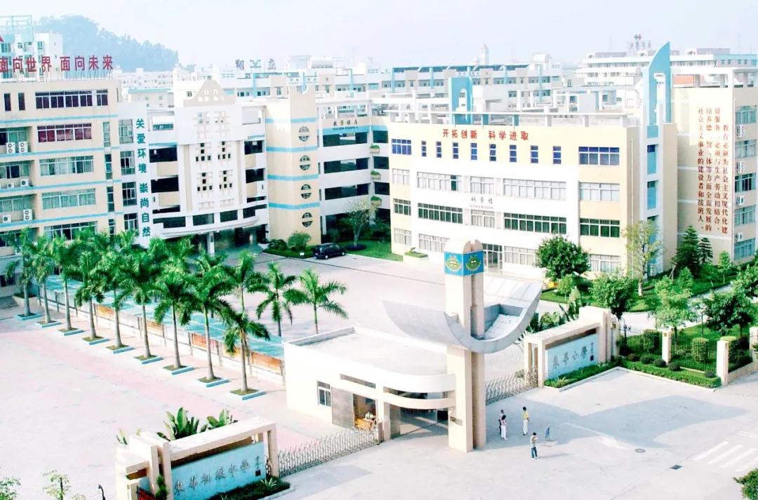 东莞公办好学校,东莞最好的复学学校