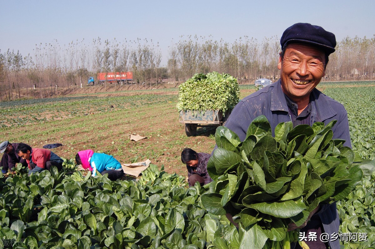 怎样对付楼下胡搅蛮缠的邻居,对付胡搅蛮缠的邻居老人妙招