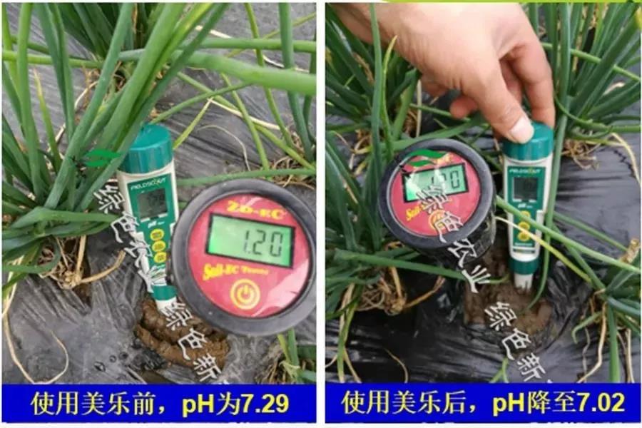 盐碱地不适宜植物生长是因为,盐碱土地为什么不能生长