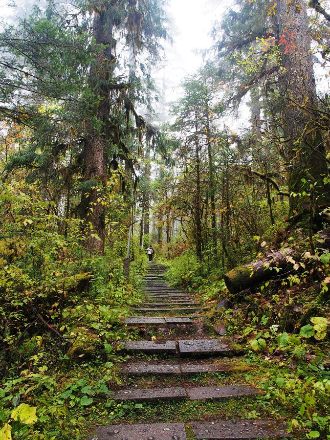 又美又神秘的风景,海螺沟的风景太美啦