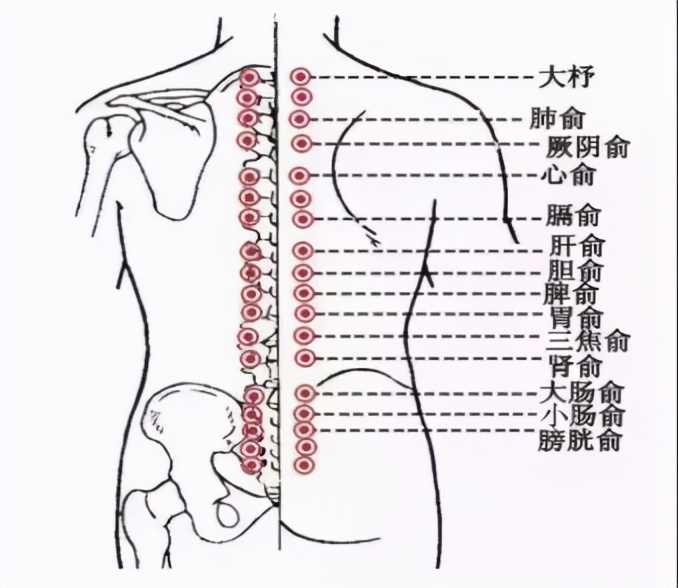 针灸基础教学视频140集,21年针灸基础视频
