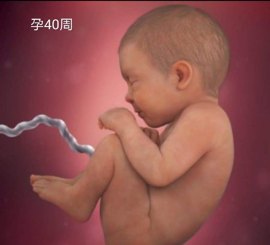 38周胎儿不长怎么办,38周到40周胎儿不长了