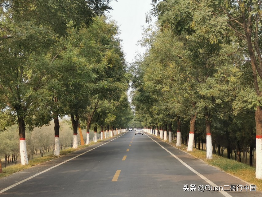 兰考县厉害在哪,河南兰考县啥出名