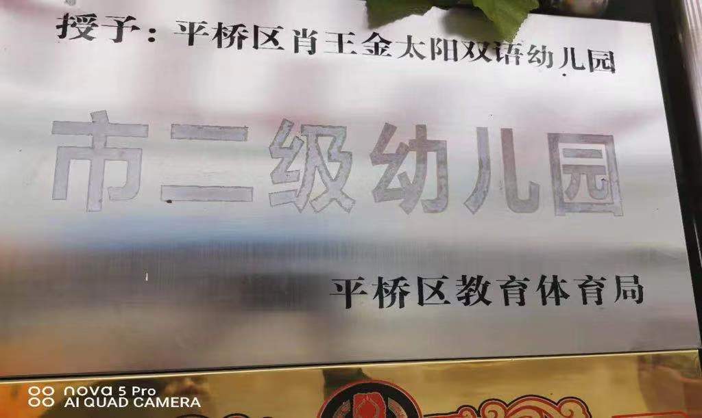 王寨金太阳幼儿园,肖王镇金太阳