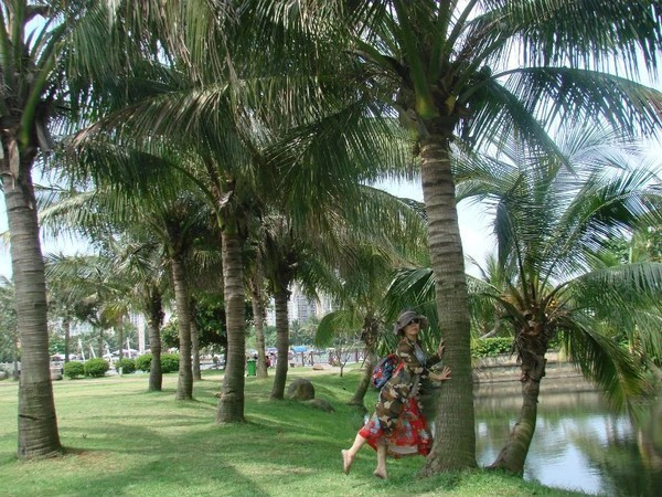 一个人在海边玩一天,一个人在海边怎么玩