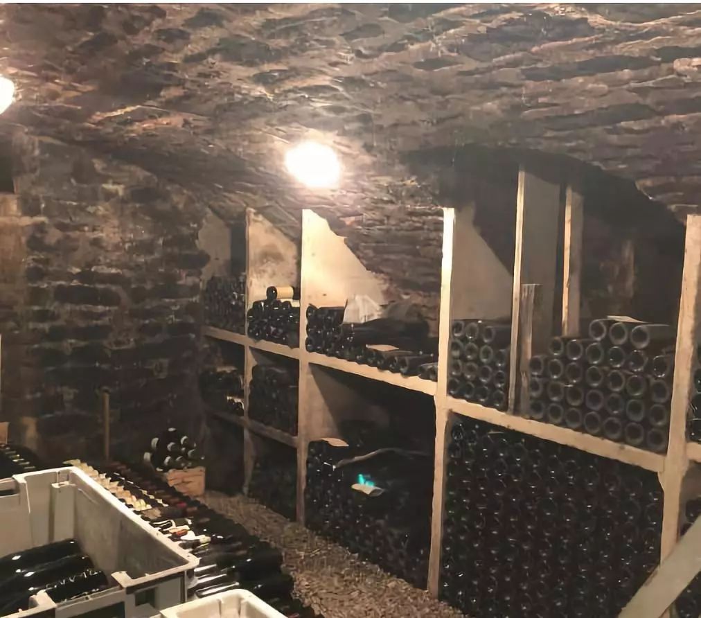 发霉长斑的酒怎么处理,白酒瓶内有霉斑是什么原因