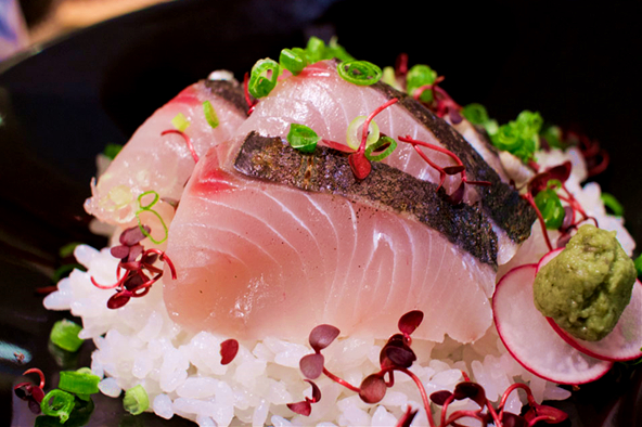 春天的使者马术,春天的使者丁香