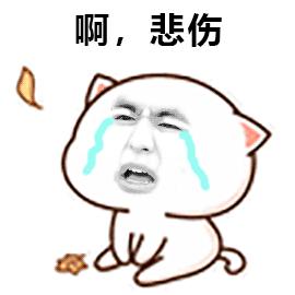 等待签证的日子真是煎熬,终于拿到了盼望已久的签证