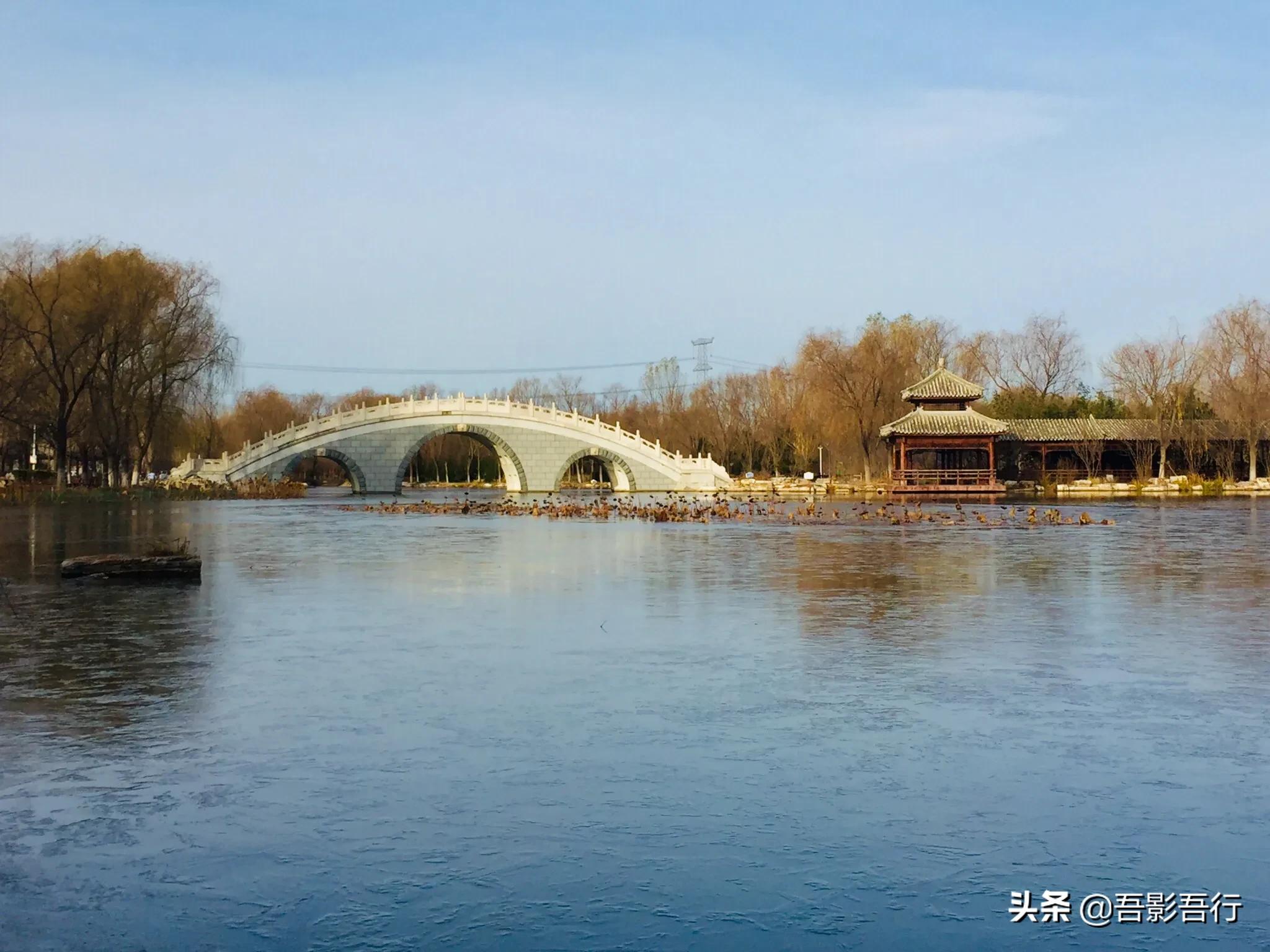 武清津北森林公园有哪些风景,天津武清森林公园开放时间表