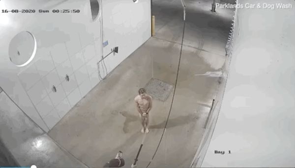澳男子半夜全裸溜进洗车房洗自己？老板傻了：那玩意洗人会出事啊