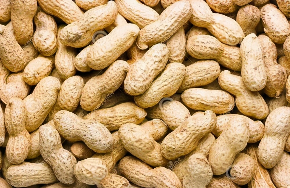 因为美，世界人民为何不爱它