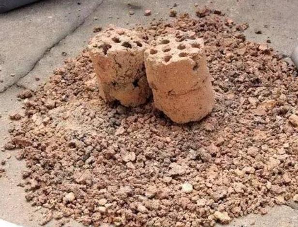 哪些生活垃圾可以作为花卉肥料,养花6种垃圾不可扔